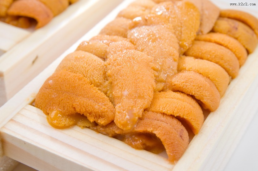 新鲜海胆肉图片大全