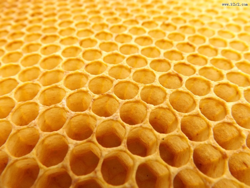 蜂巢蜂窝图片