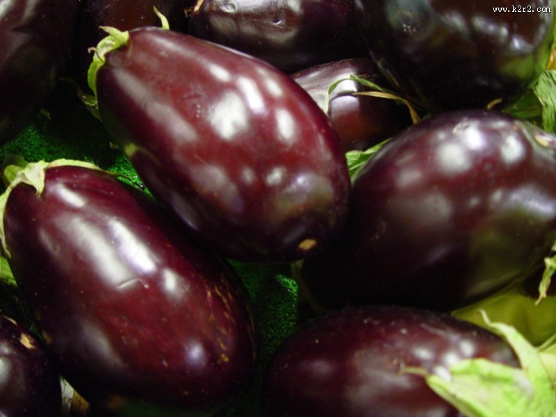 紫色营养的茄子图片