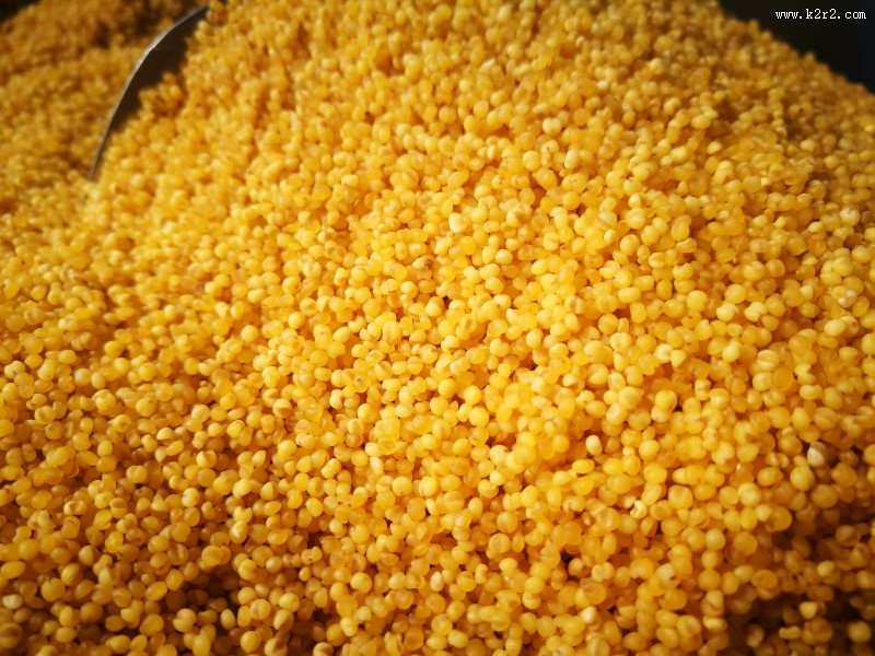 金色的农家小米图片