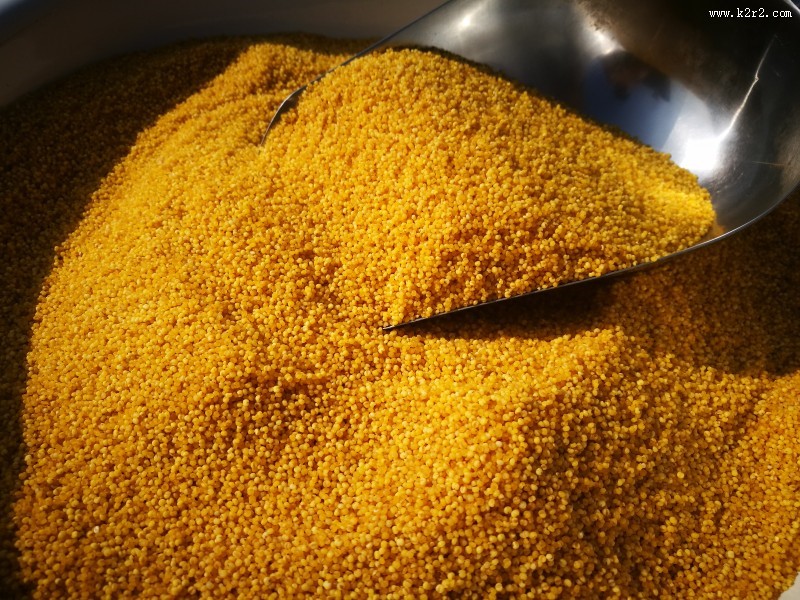 金色的农家小米图片