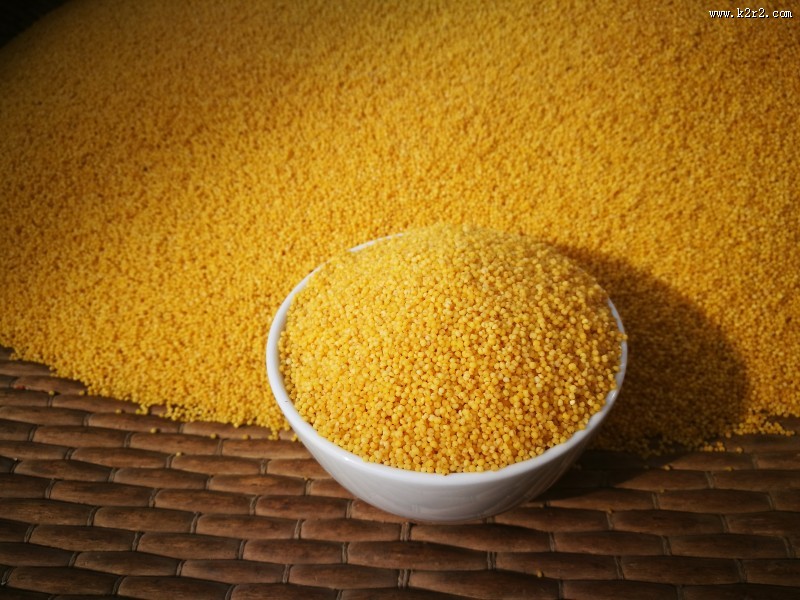 金色的农家小米图片