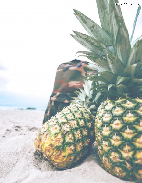 清新水果凤梨图片