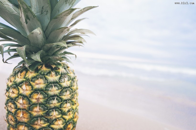 清新水果凤梨图片