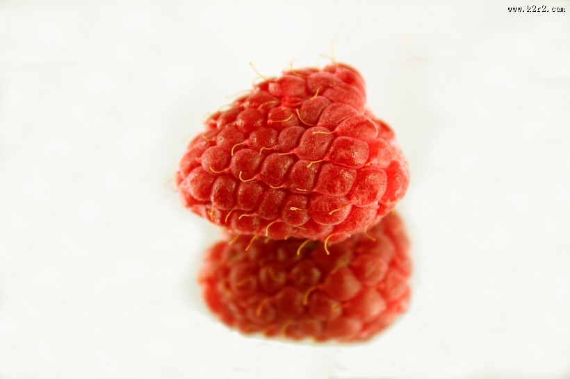 好吃营养的树莓图片