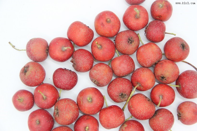 红色的山楂图片