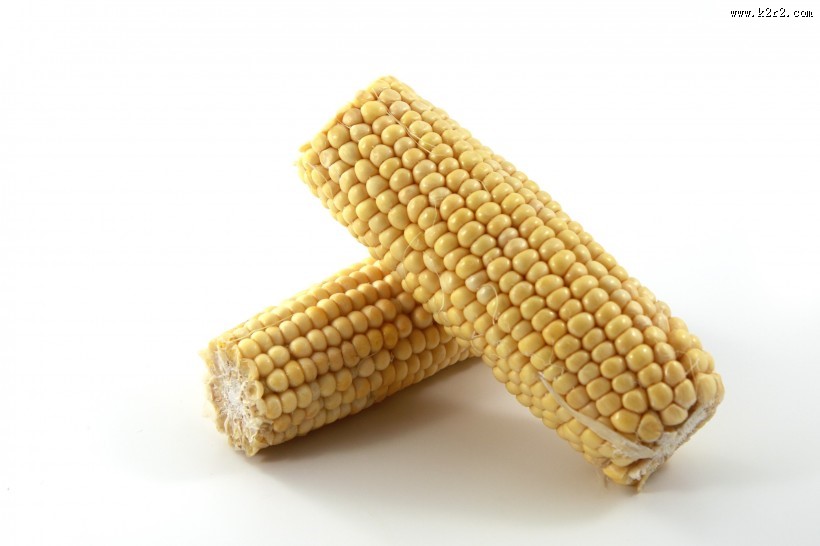 金黄的玉米图片大全