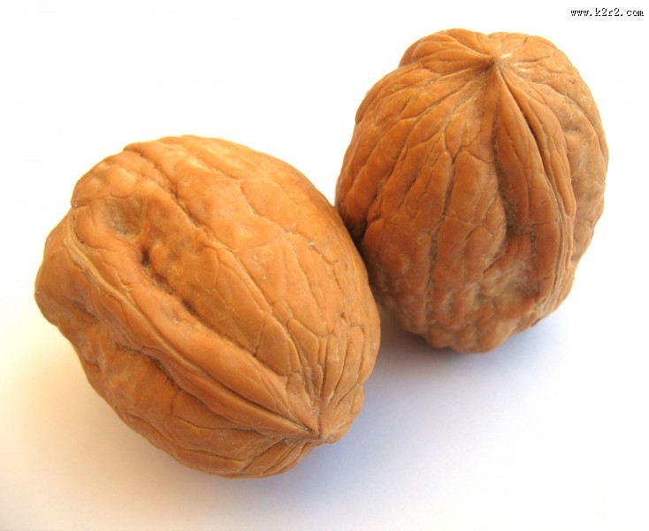 营养核桃图片大全