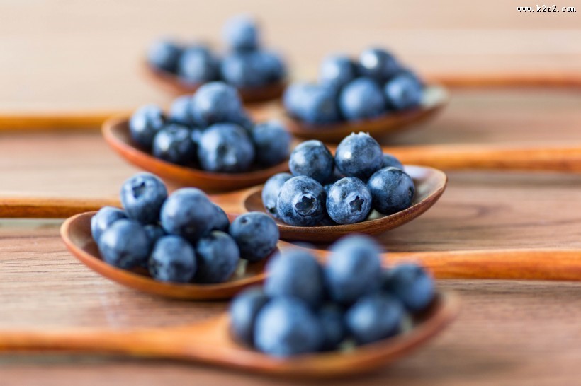 酸酸甜甜的蓝莓图片