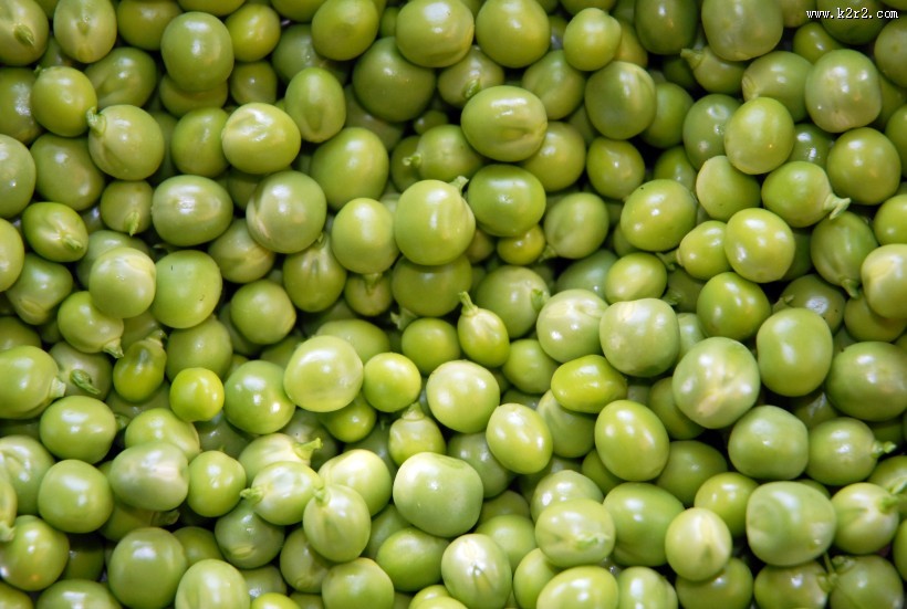 绿色的豌豆图片