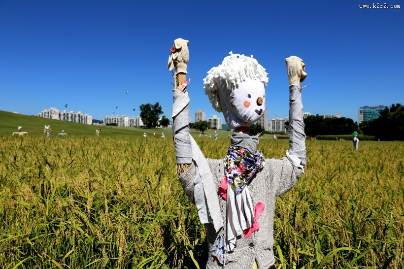 奇形怪状的稻草人图片