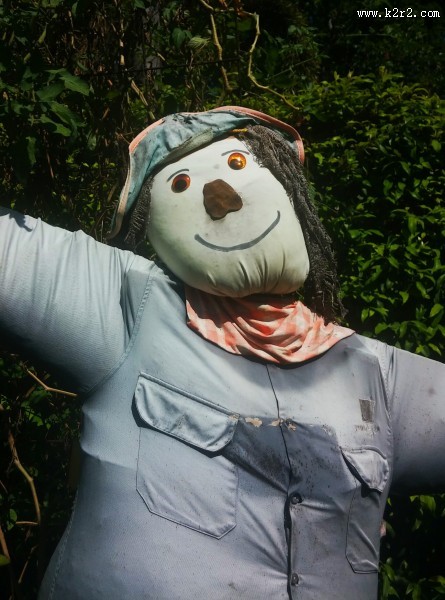 奇形怪状的稻草人图片