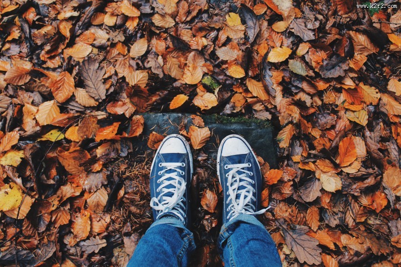 设计简洁的帆布鞋图片