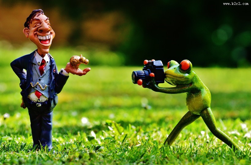 拿着相机拍照的青蛙玩具图片大全