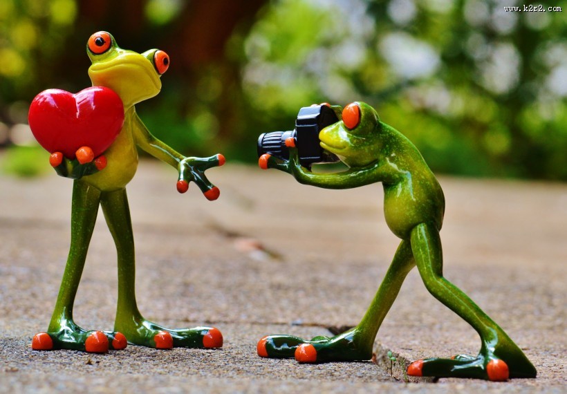 拿着相机拍照的青蛙玩具图片大全