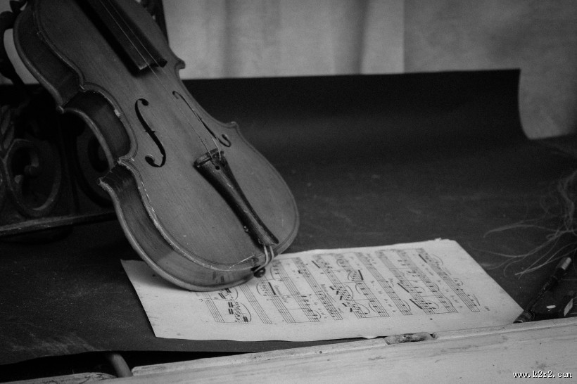 典雅的小提琴图片