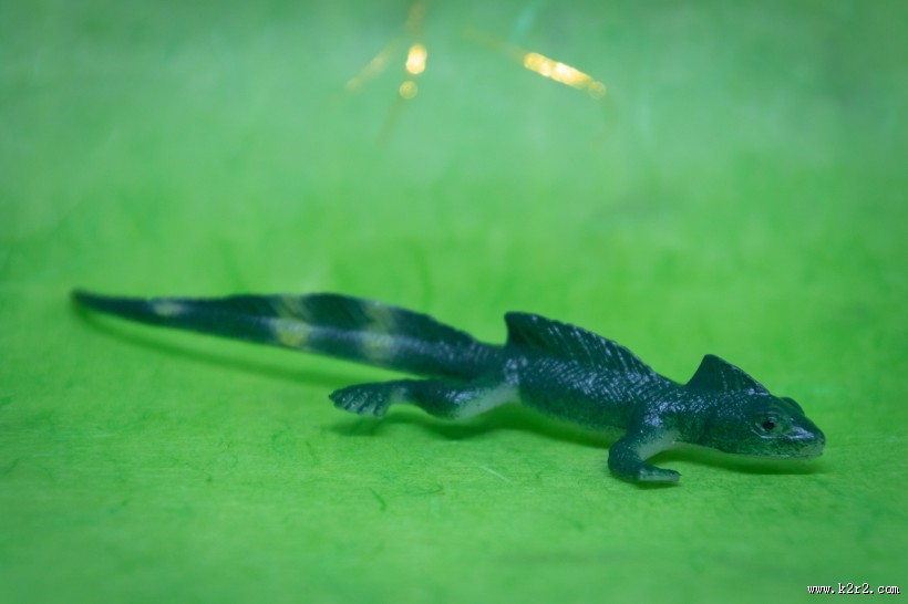 蜥蜴模型图片大全