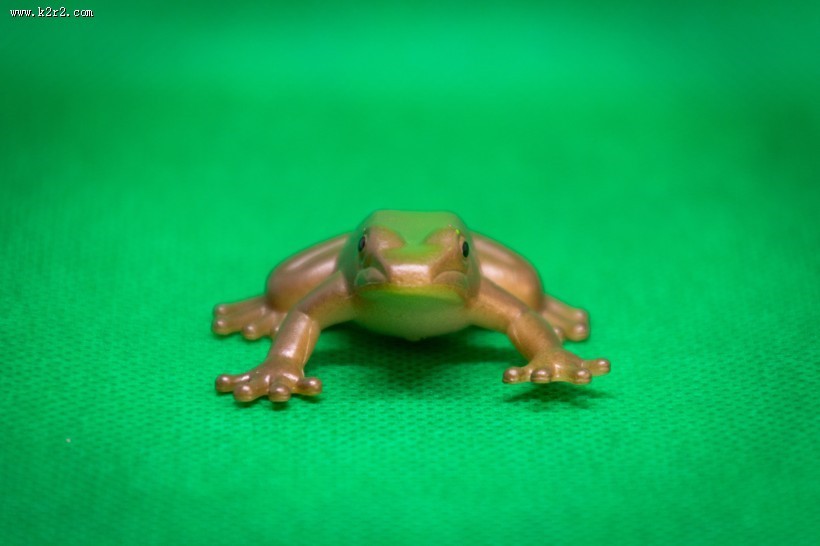 迷你青蛙玩具图片