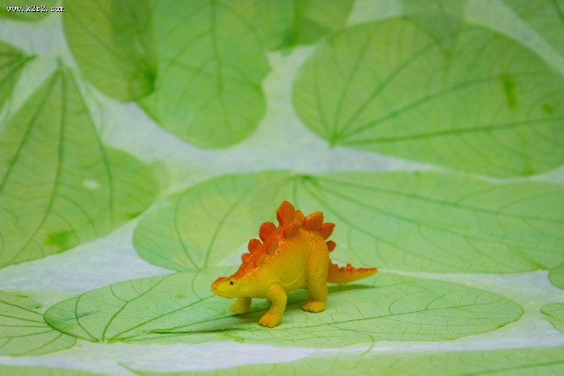 恐龙玩具模型图片