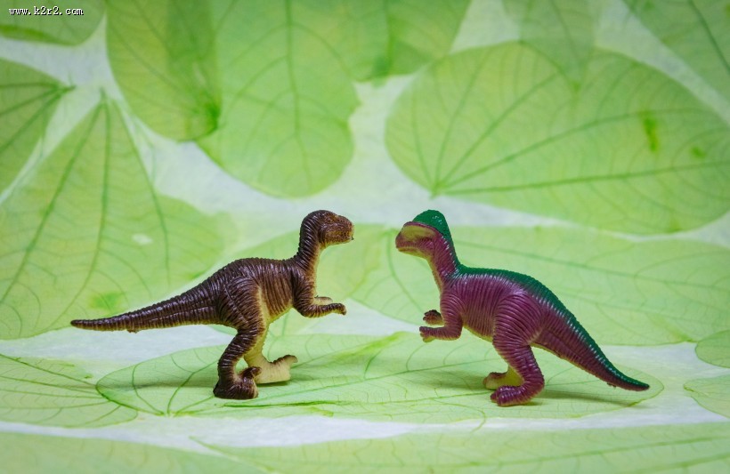 恐龙玩具模型图片