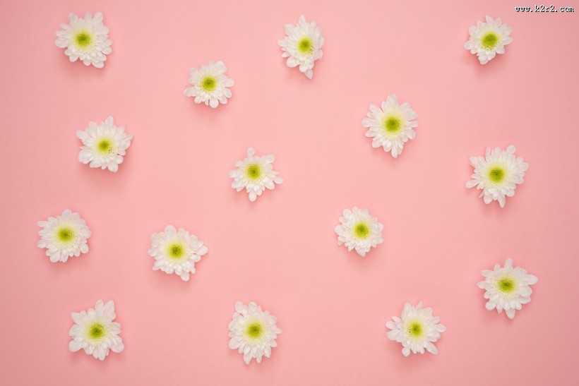 粉蓝背景的物品特写图片