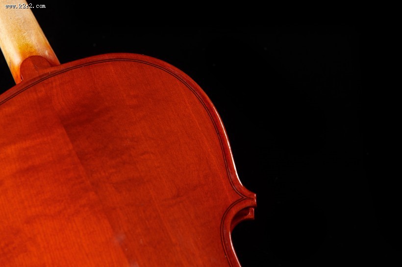 橘红色优雅的小提琴图片大全