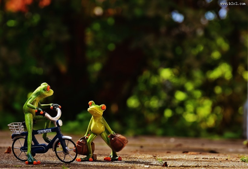 有趣的玩具青蛙图片大全