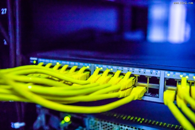 黄绿色的交换机数据线图片
