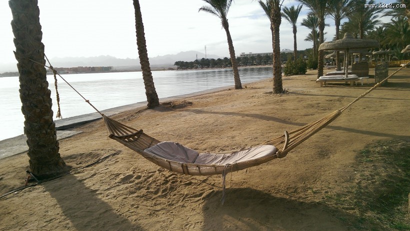 沙滩森林里的吊床图片