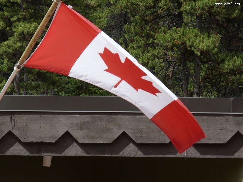 飘扬的加拿大国旗图片