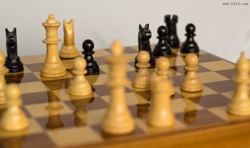 有趣的国际象棋图片