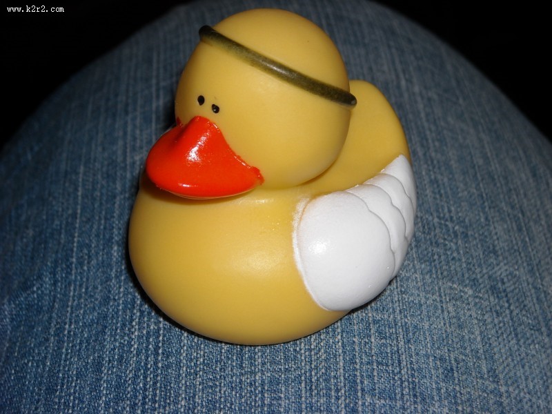 黄色塑料的玩具鸭图片