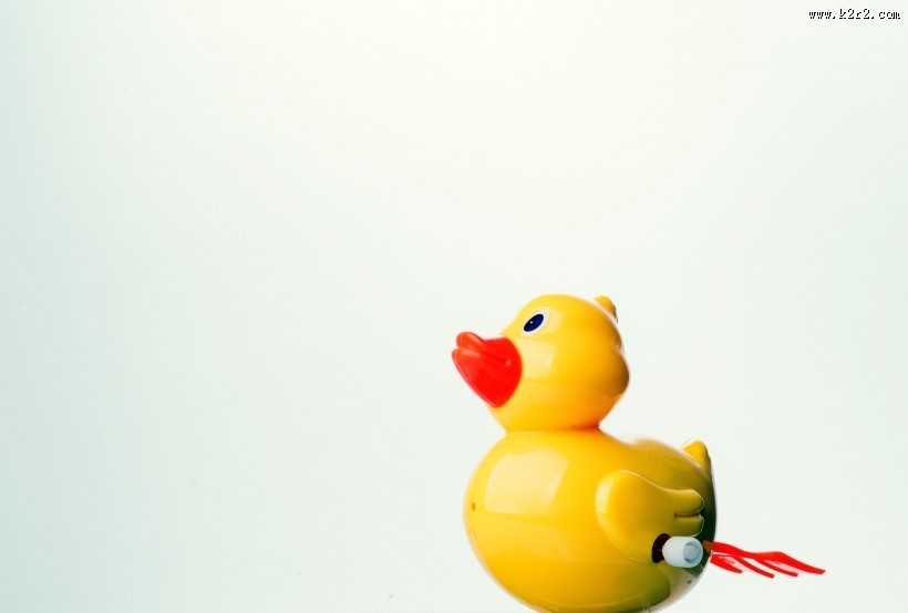 黄色塑料的玩具鸭图片
