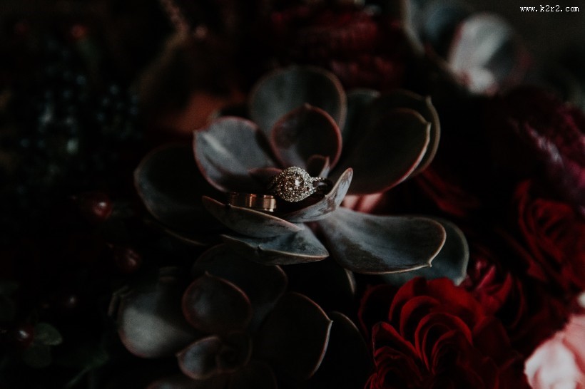 结婚戒指高清图片