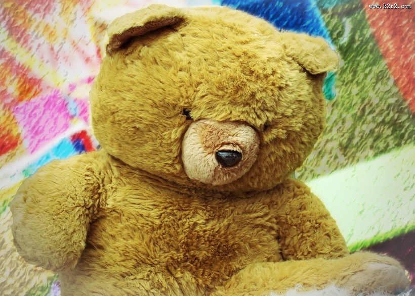 泰迪熊玩具图片