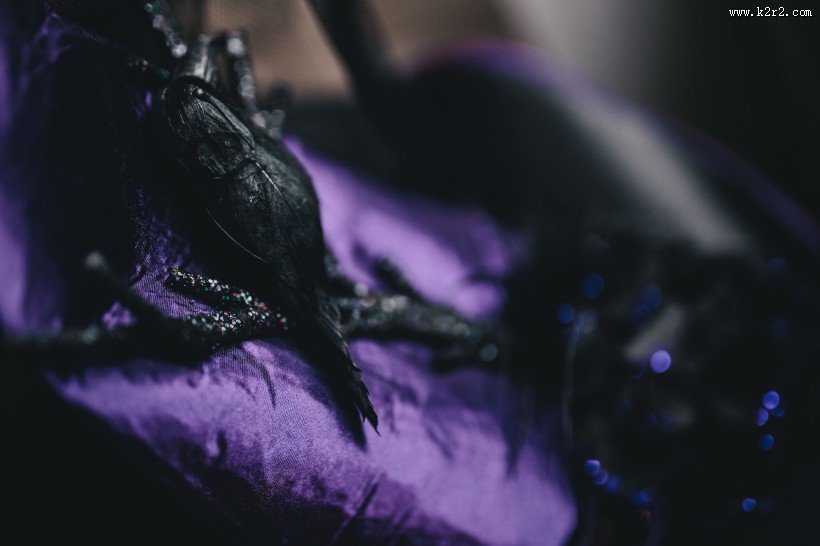 万圣节装饰品的图片