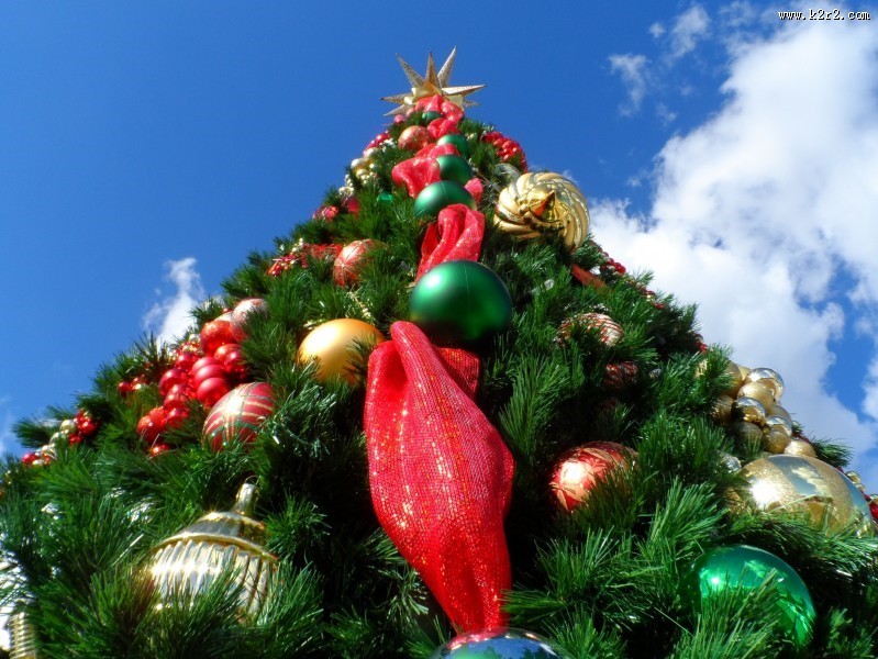 装饰精美的圣诞树图片