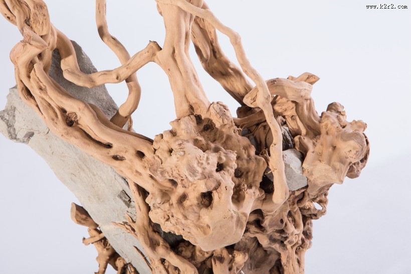 好看的根雕艺术品摆件图片