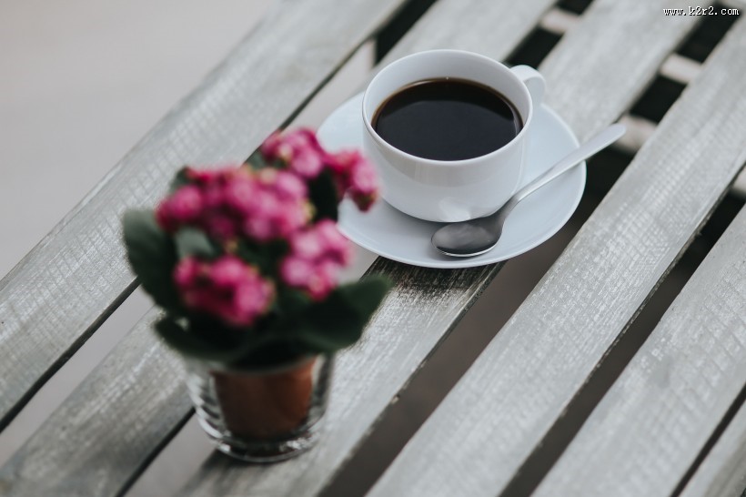 桌上的小粉花和一些物品的图片大全