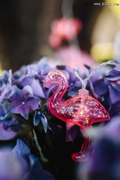 粉红火烈鸟图案的图片