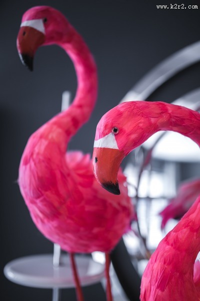 粉红火烈鸟图案的图片