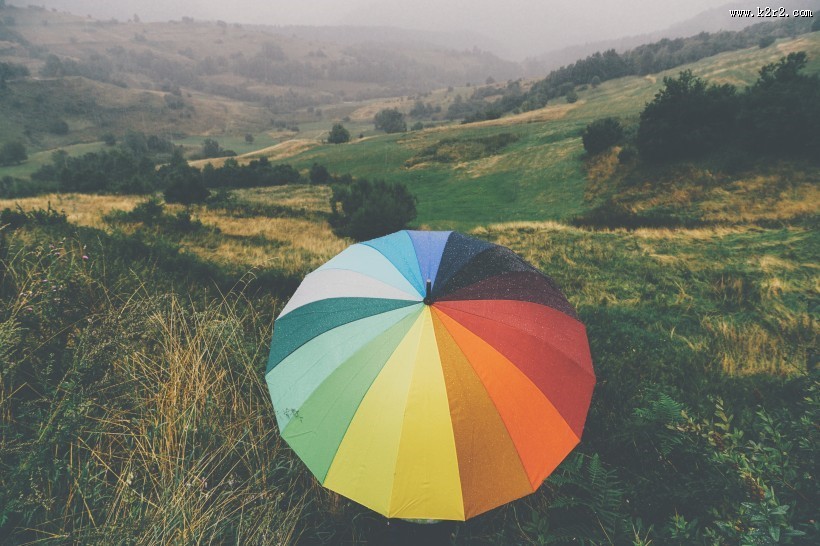 颜色各异的雨伞图片大全