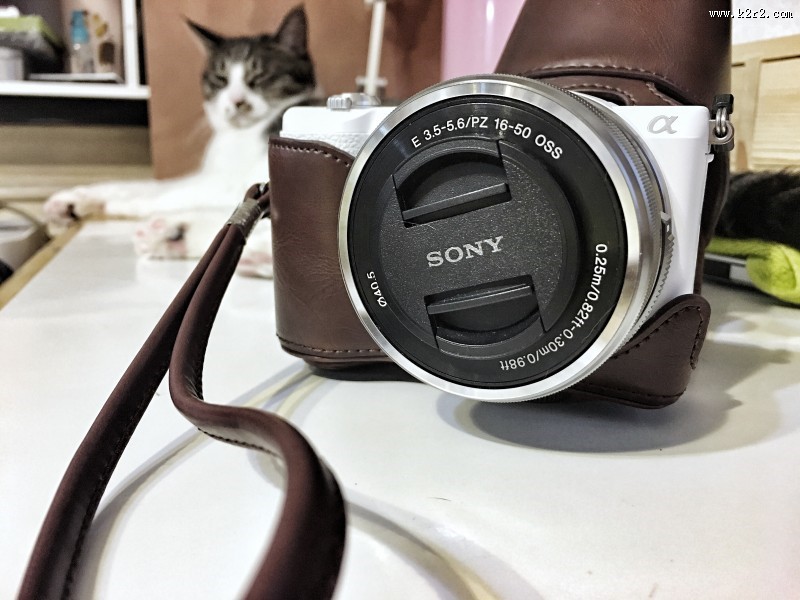 各式各样的照相机图片