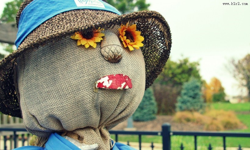 好玩的稻草人图片