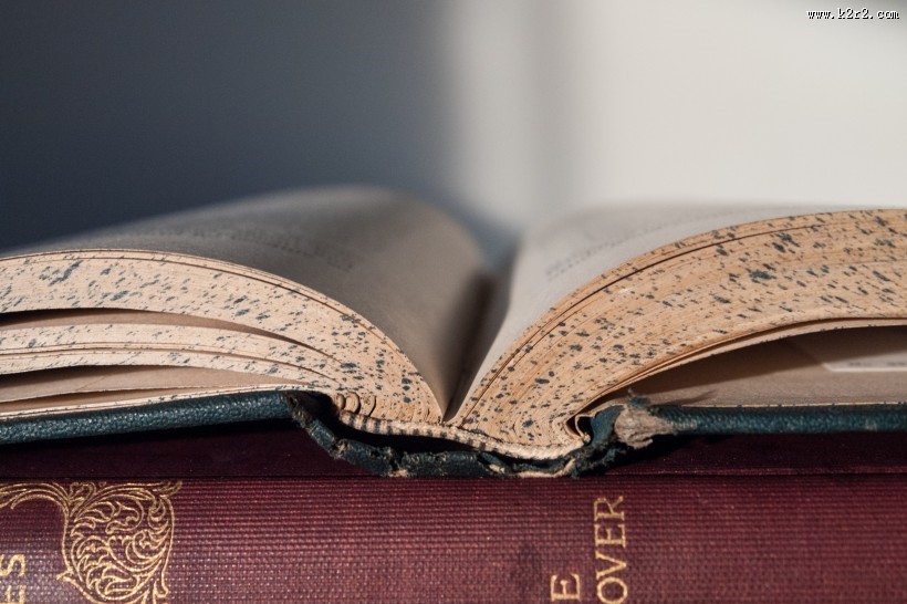 被翻开的英语书图片大全