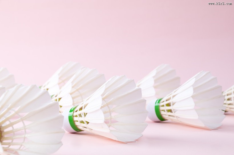 白色羽毛球图片