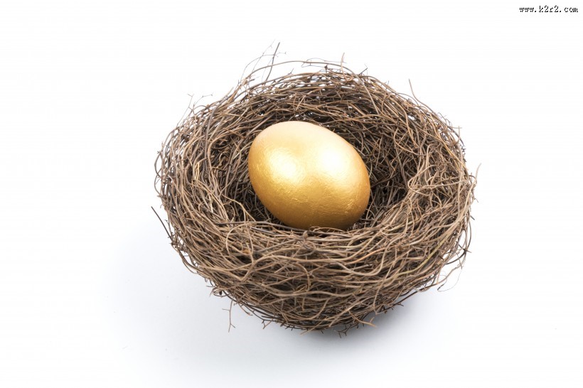 金蛋摄影图片大全