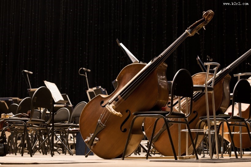 各种各样的乐器图片