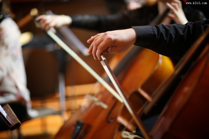 各种各样的乐器图片