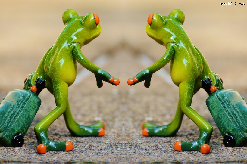 创意可爱搞笑青蛙家居摆件图片